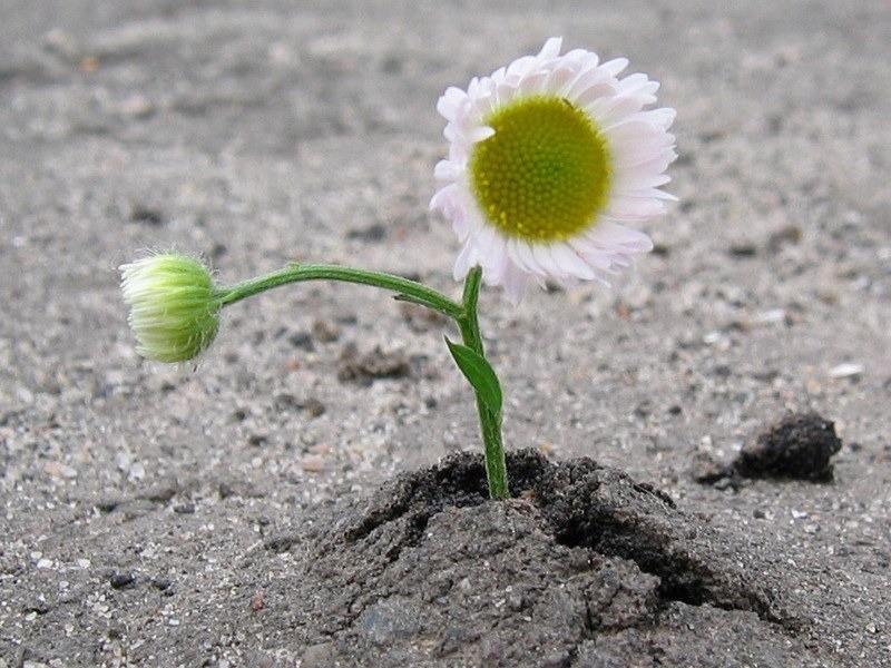 Не меняй меня...