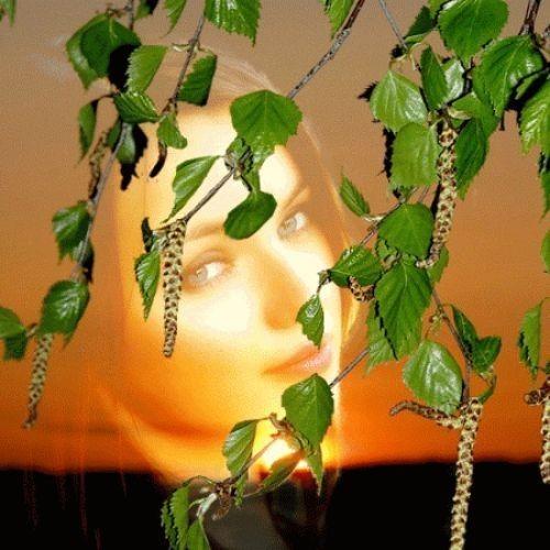 Мне хочется опять приход весны...