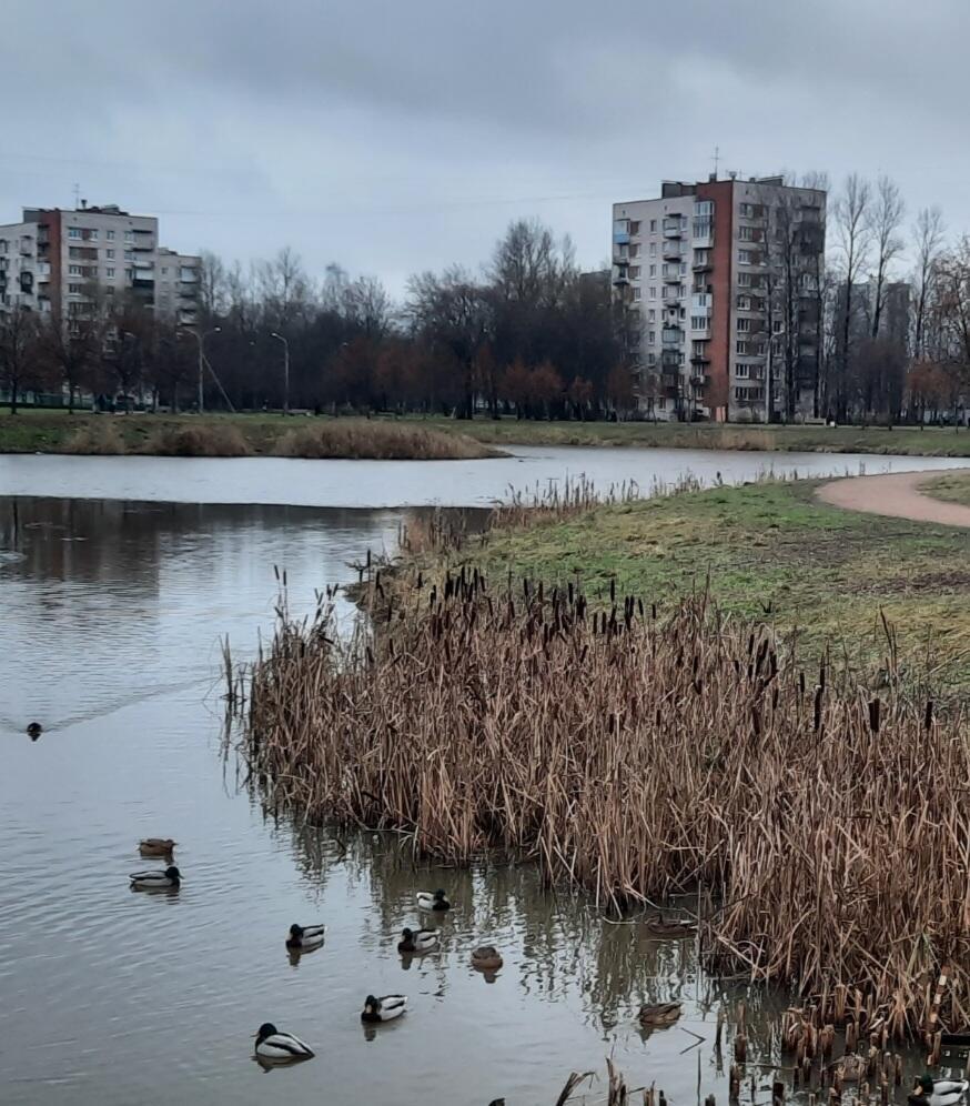 Счастье - это просто жить