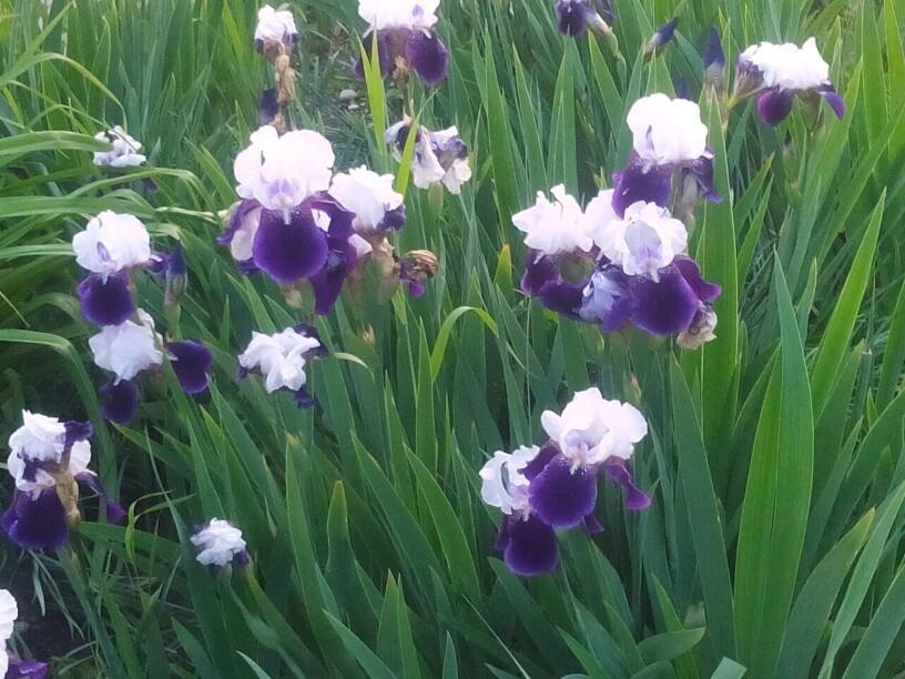 Здорово как!