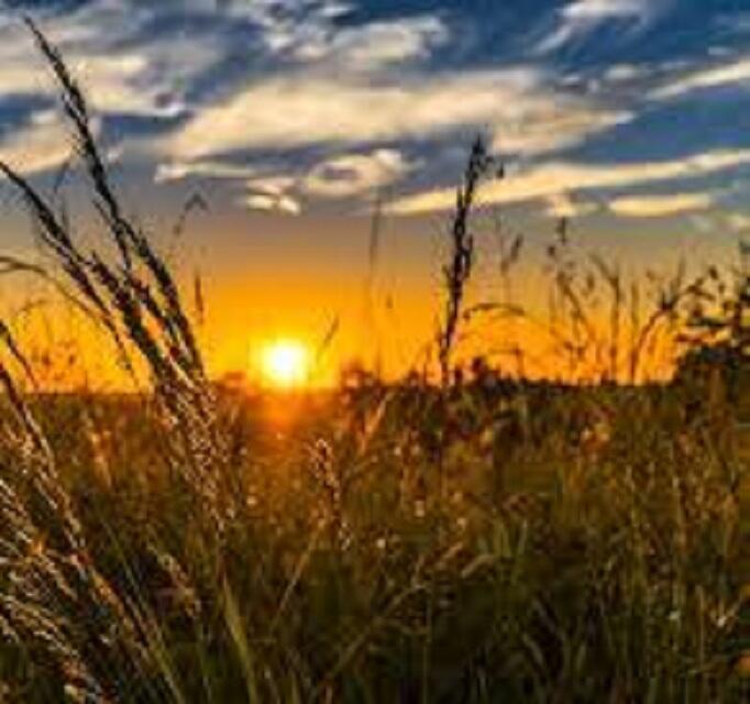 ПОРТРЕТ ЛЕТА 5