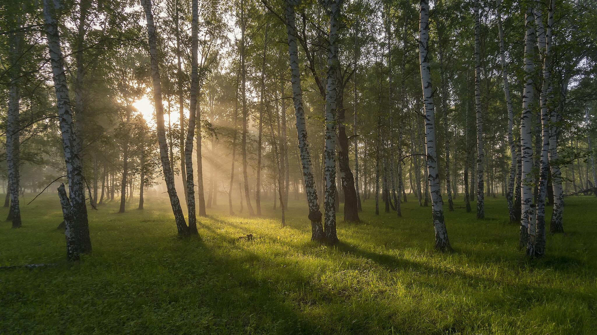 ВДОХНУ Я ЗАПАХ ИЮНЬСКИХ ГРОЗ