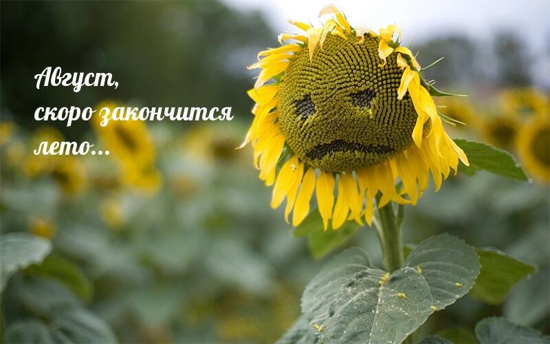 Лето на исходе