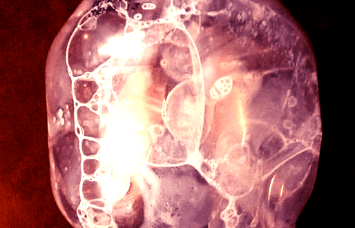 Случайно создала пространство Пуанкаре