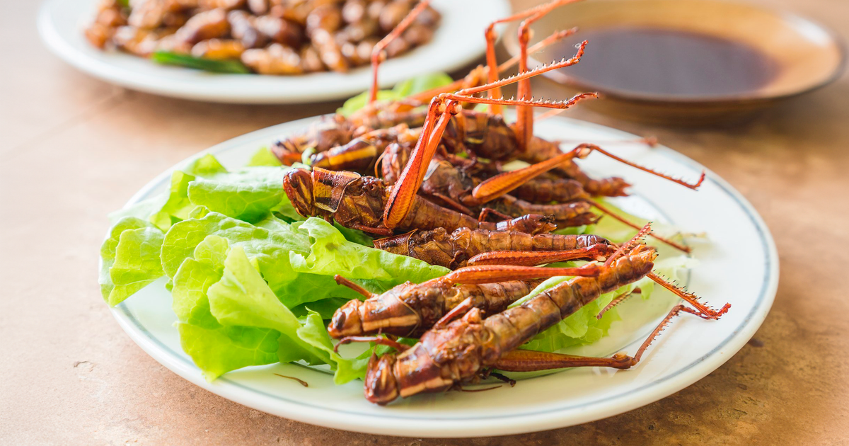 Кто – что ест 