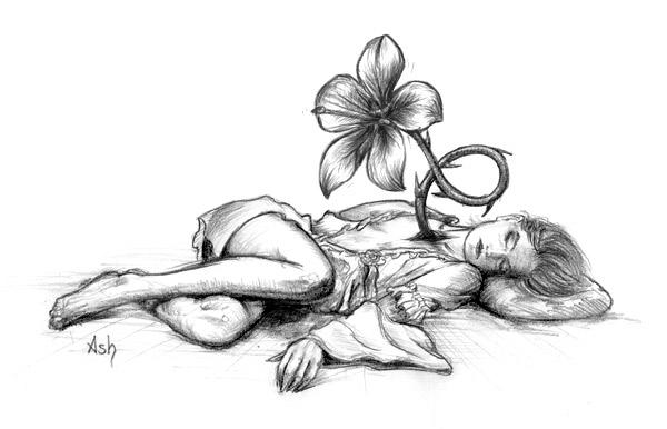 Остров счастья