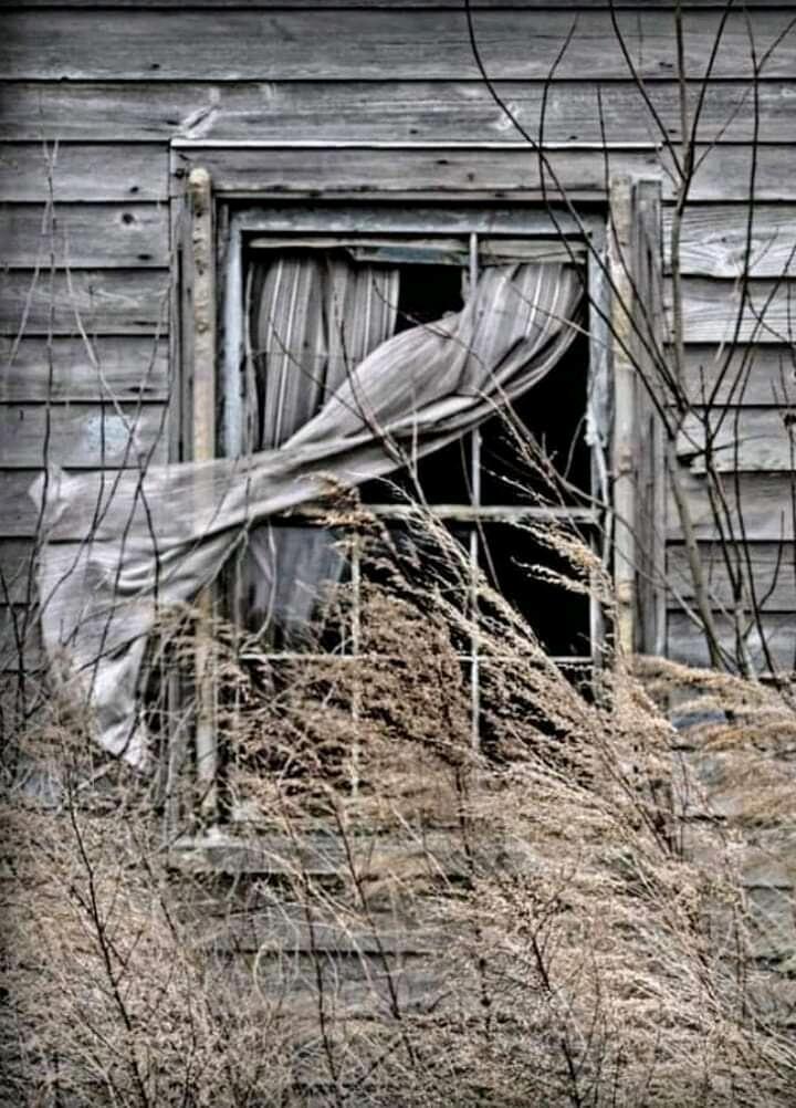 Комната с пустыми снами...