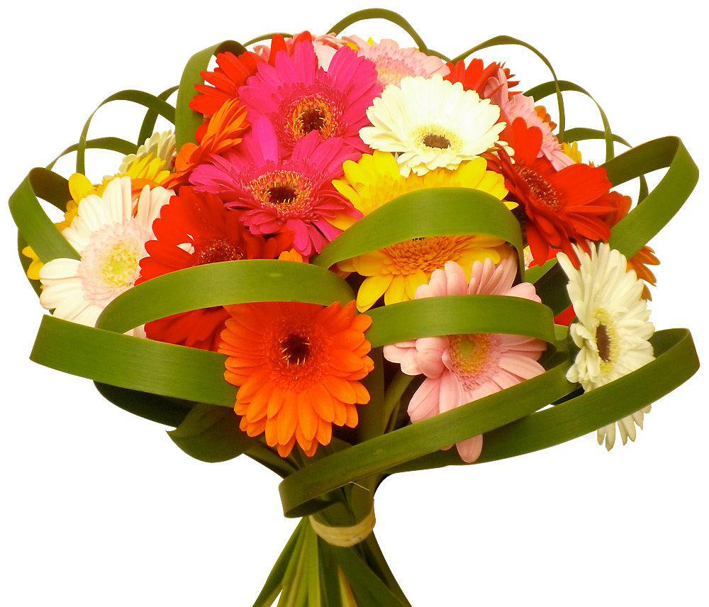 Розочке Риве в день рождения