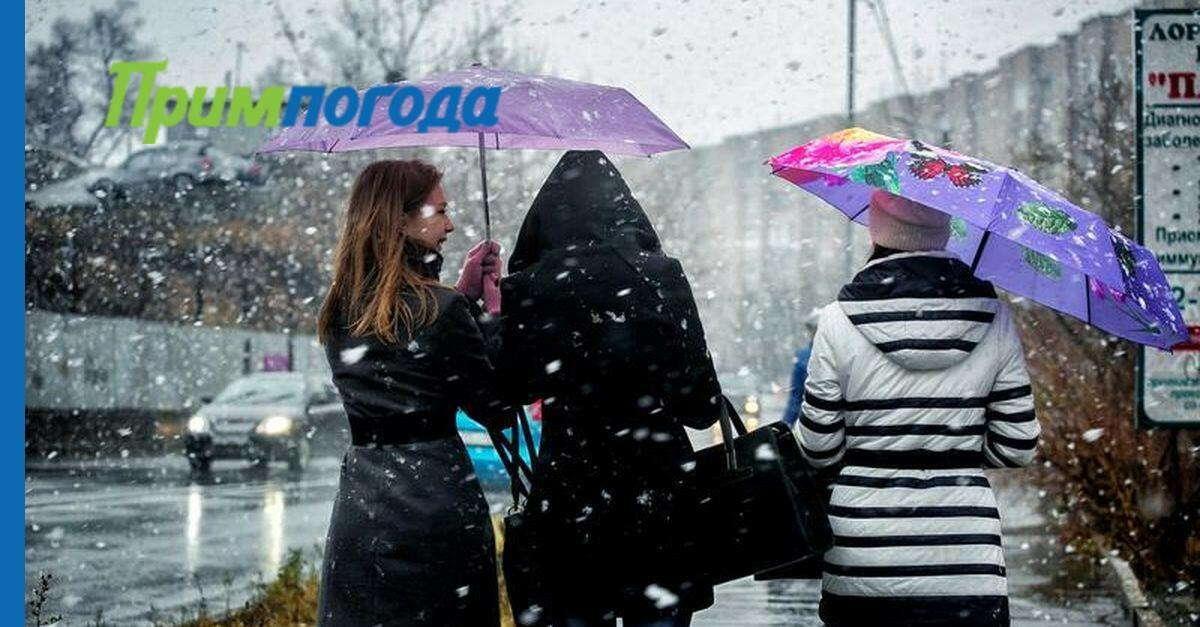 ОСЕННИЕ  "БУНТАРИ"