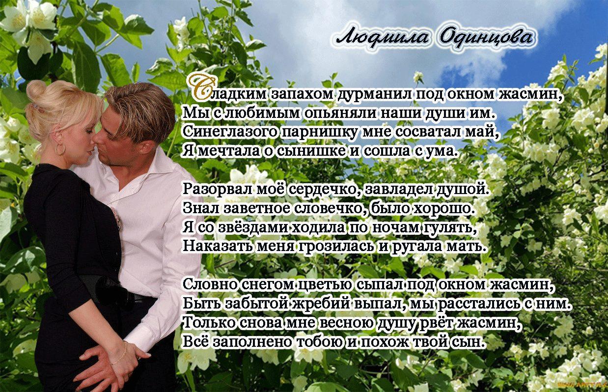 Яркими духами мне дурманишь голову хочу. Стихи о жасмине. Стихи про жасминовый куст.