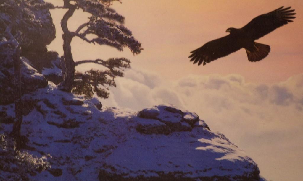 Сказание об орлане Рое