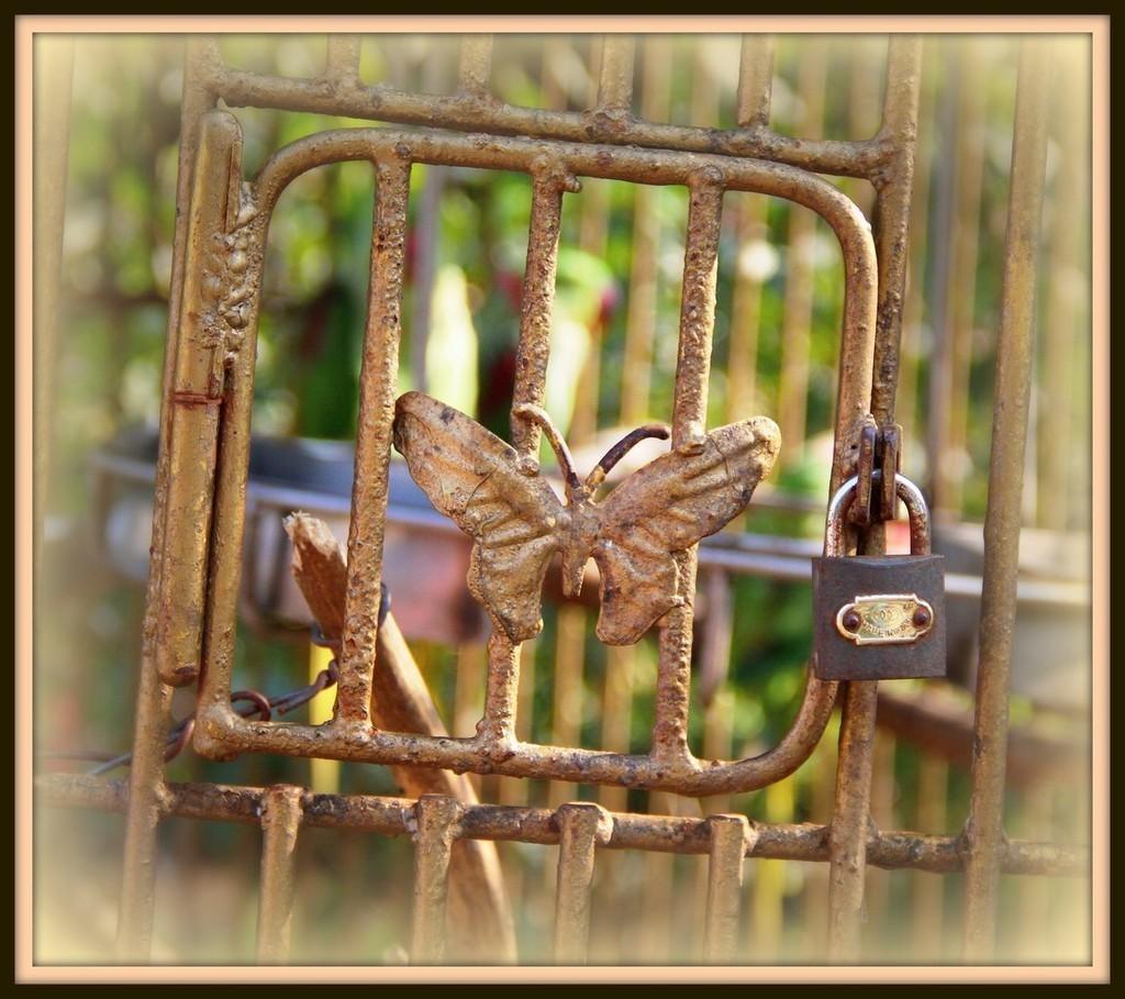 Вам меня с сахаром? Или без?