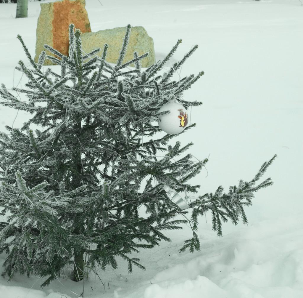 Первый снег пролетает кружась.