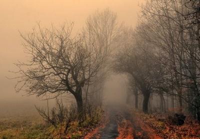 Побирушка осень