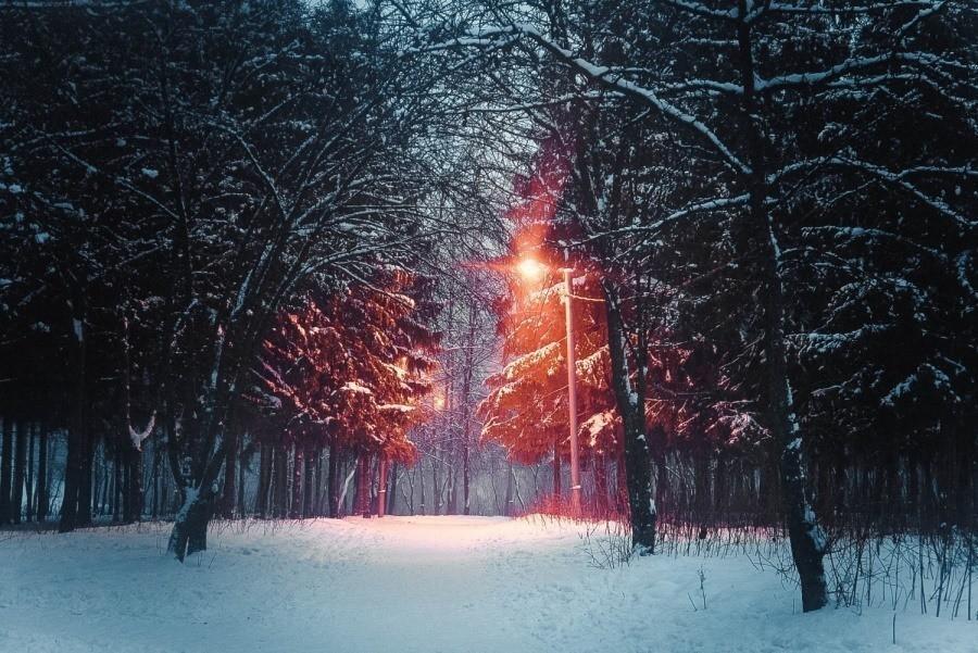 В глазах тоска. На сердце вьюга.