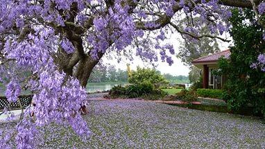 Весенняя пора