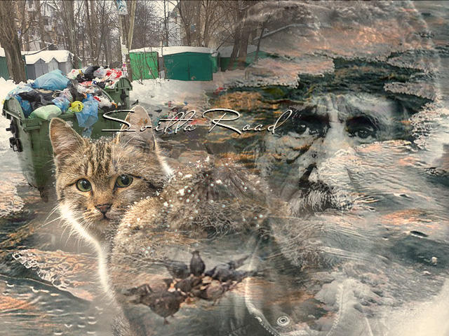 Впечатления одного дня