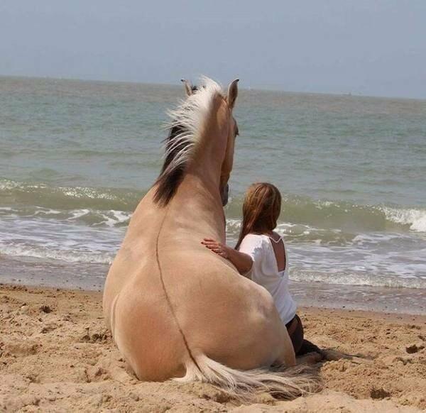 РАССТАВАНИЕ