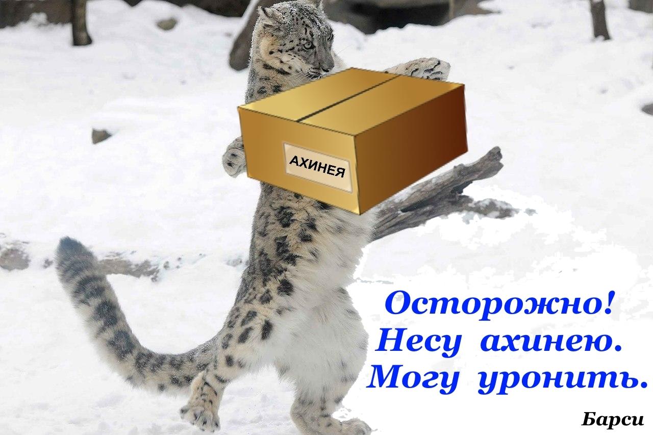 околесица