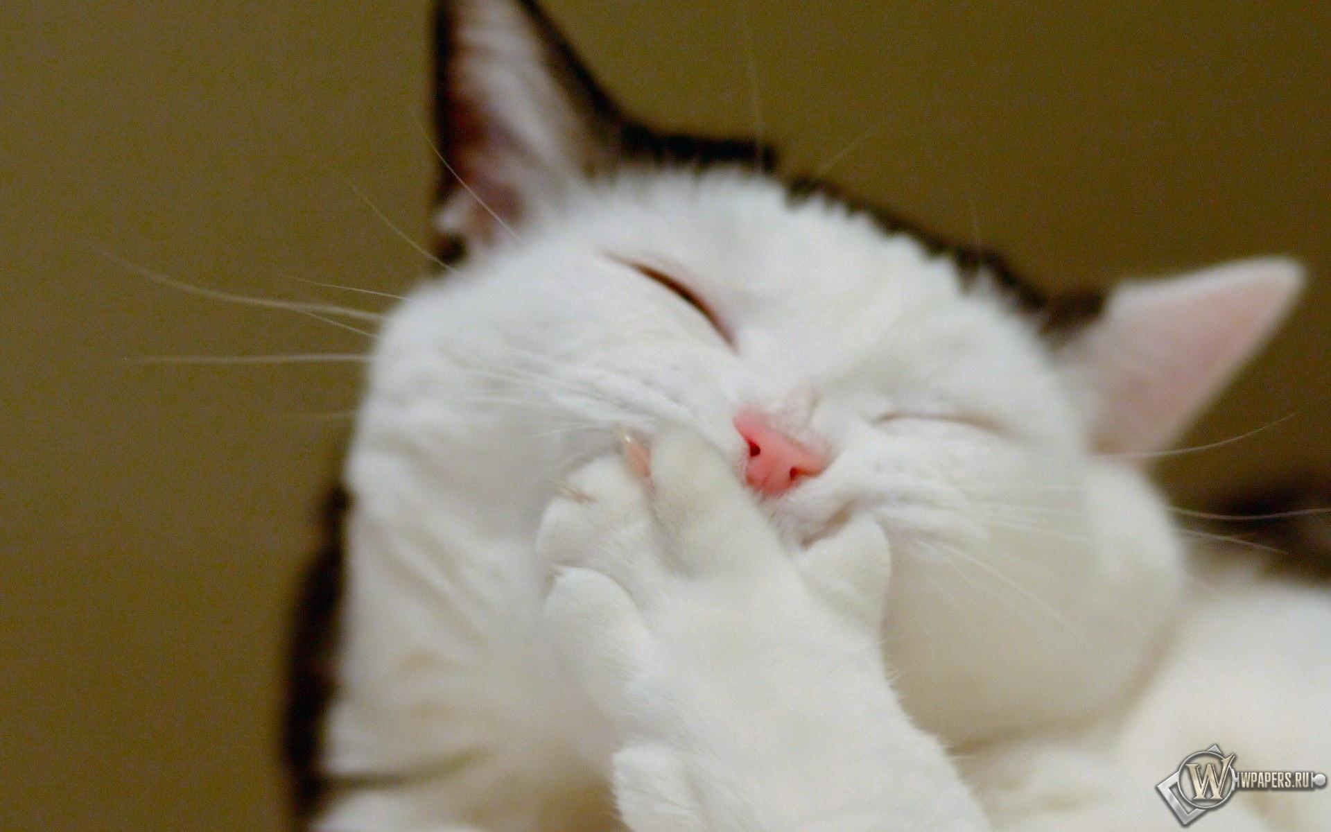 Все очень зыбко...