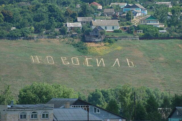 В средней полосе России