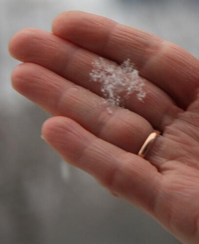 *** СНЕЖИНКА В ЛАДОНИ ***