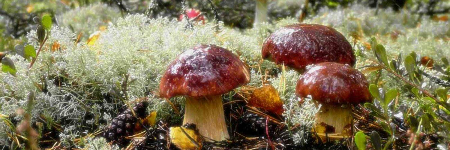 ДАВАЙ ДЕЛИТЬСЯ