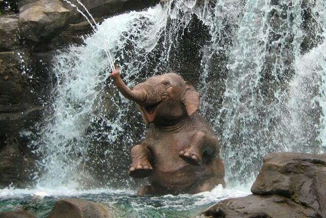 Да здравствуют, СЛОНЫ! Живите на свободе!