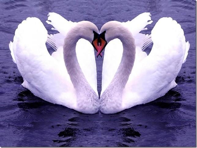 Две половинки.