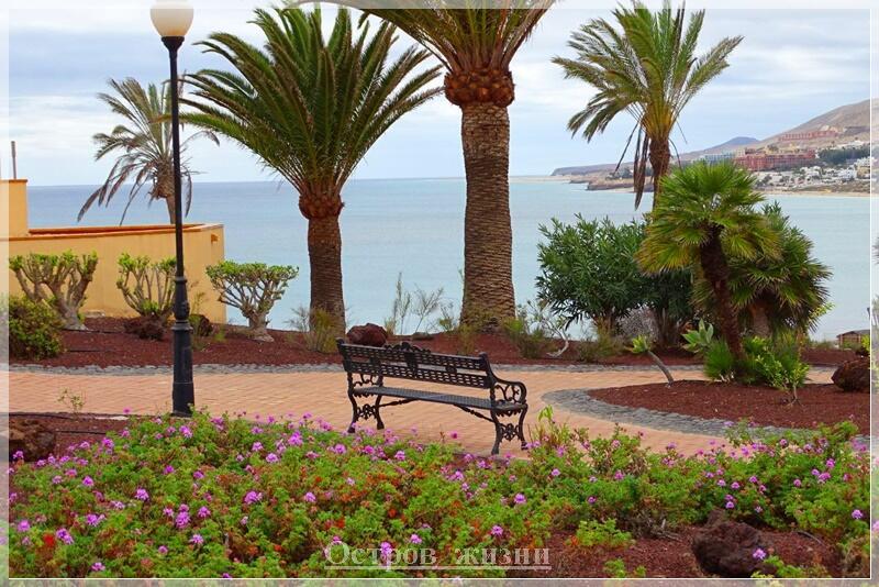 Скамья. Остров жизни