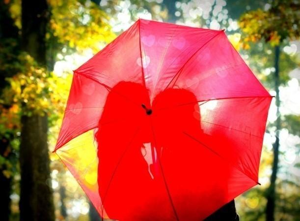 Любовь под зонтиком гуляет