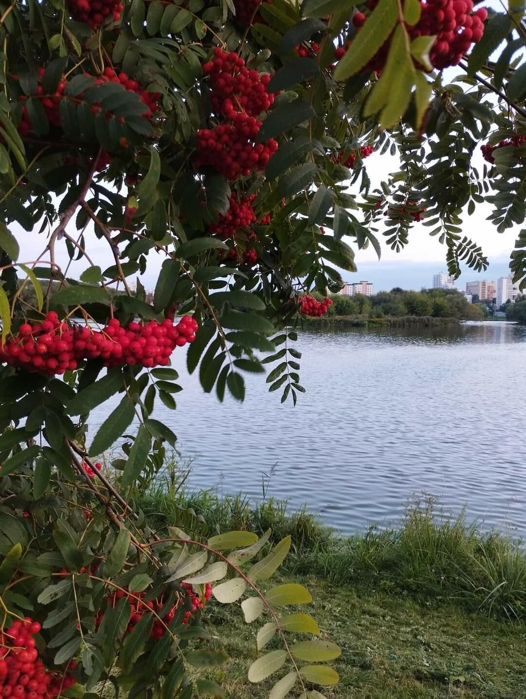 Когда со мной случится осень