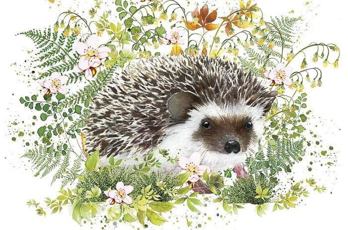 ❤️ ДОБРЫЙ ЁЖИК