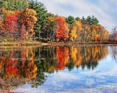 Минорная красота