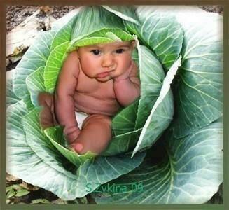 ФАЛЕЕВ ВЛАДИМИР"ГОВОРЯТ, МЕНЯ НАШЛИ В КАПУСТЕ" , ДЕКЛАМАЦИЯ