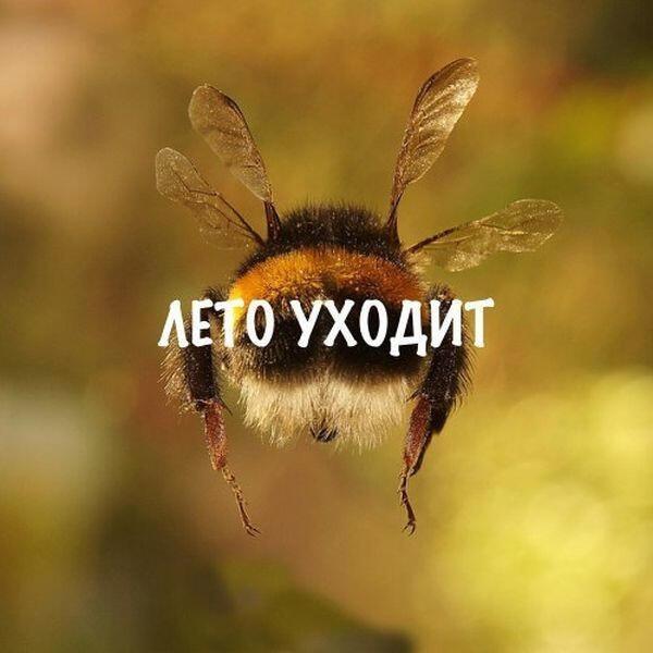 Уходит лето