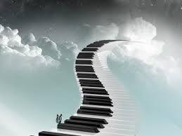 ЖИЗНЬ ИЗ ЧЁРНЫХ И БЕЛЫХ ПОЛОС