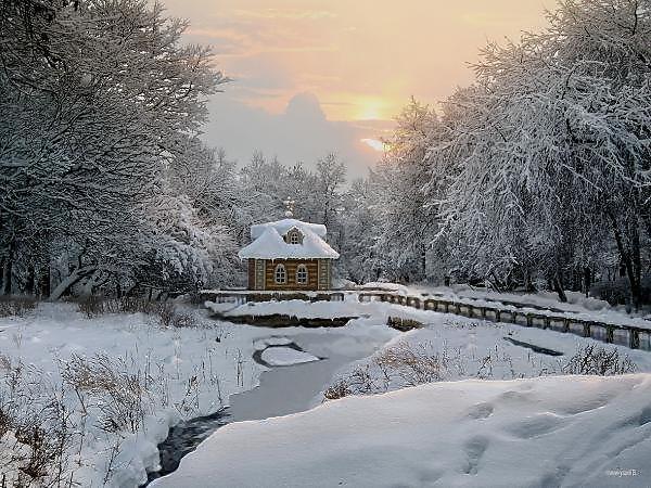 ВОРОВКА ОСЕНИ