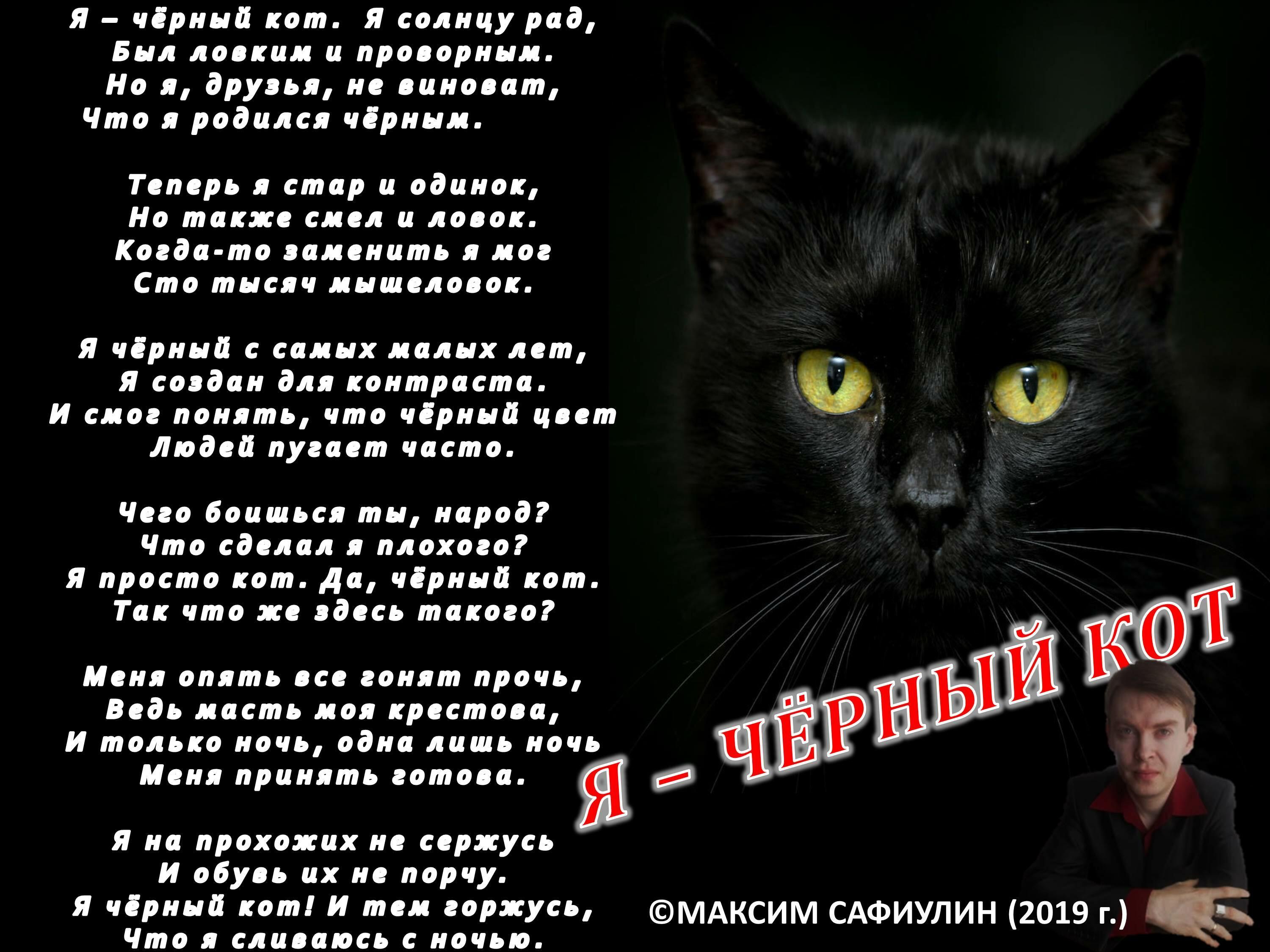 Стих про черного кота