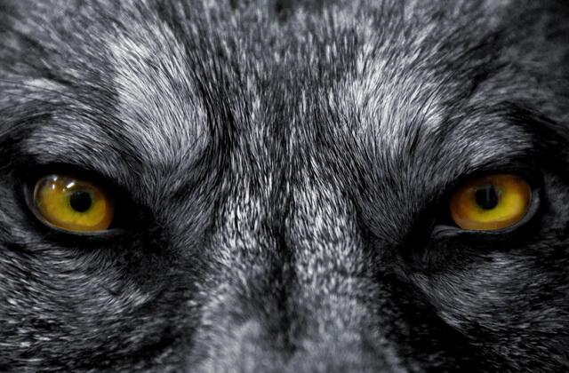 Взгляд со стороны