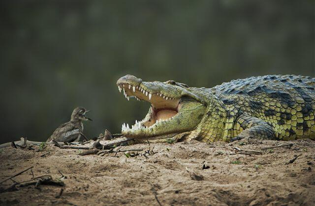Дружеский совет