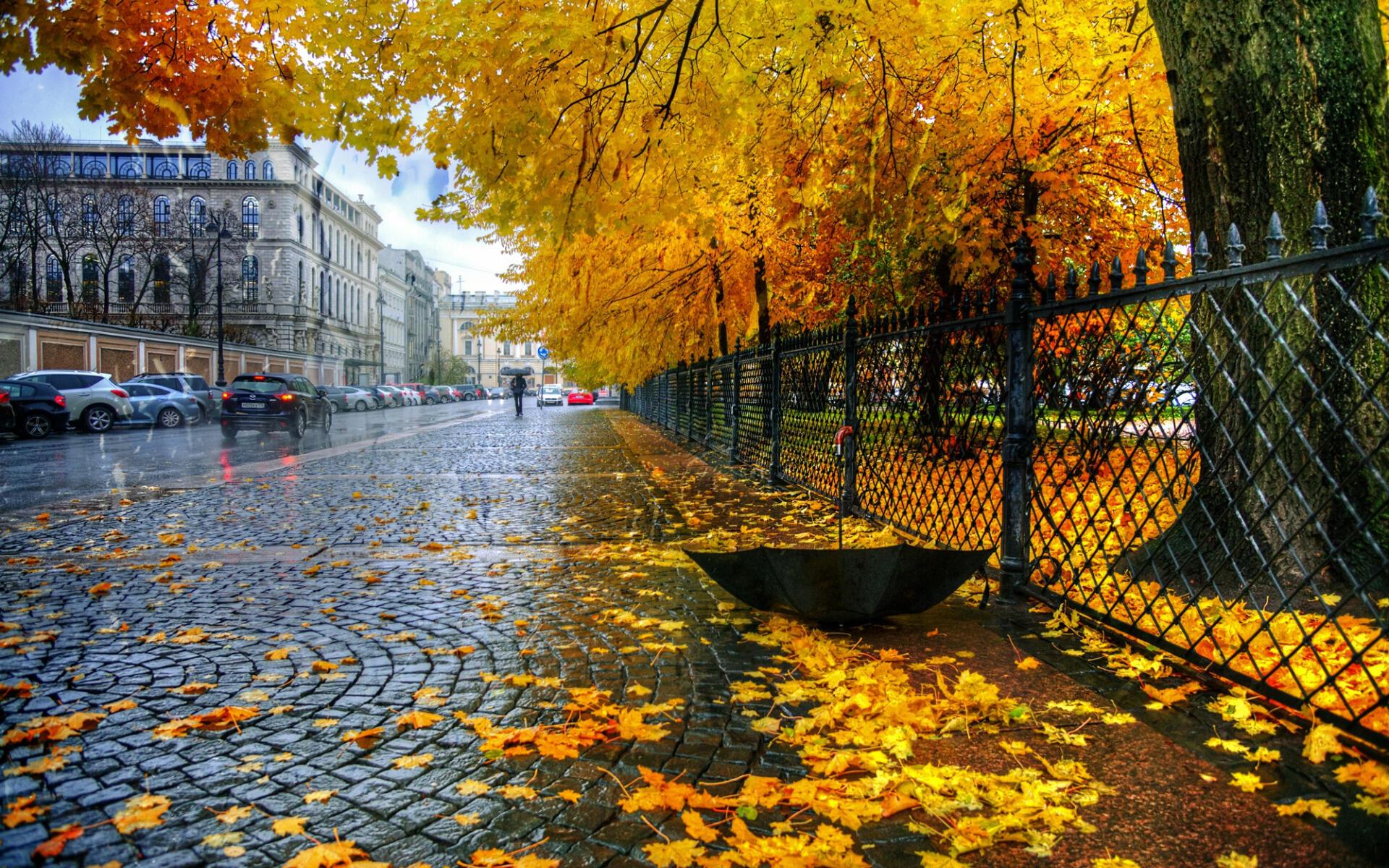 Золотая осень в СПБ Петроградка