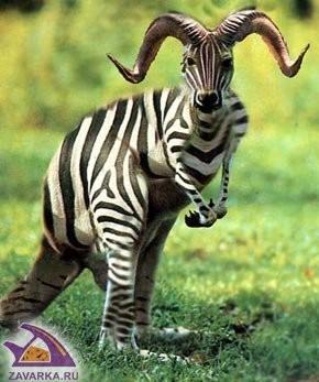 Гибриды (басня)