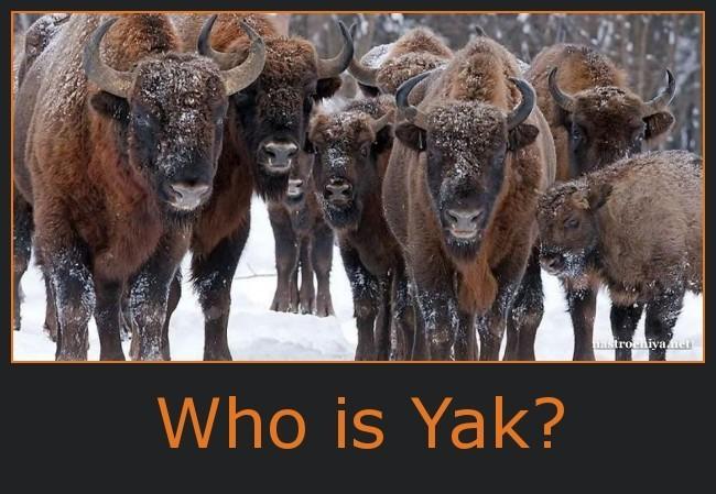 Who is Yak? - по белоруски