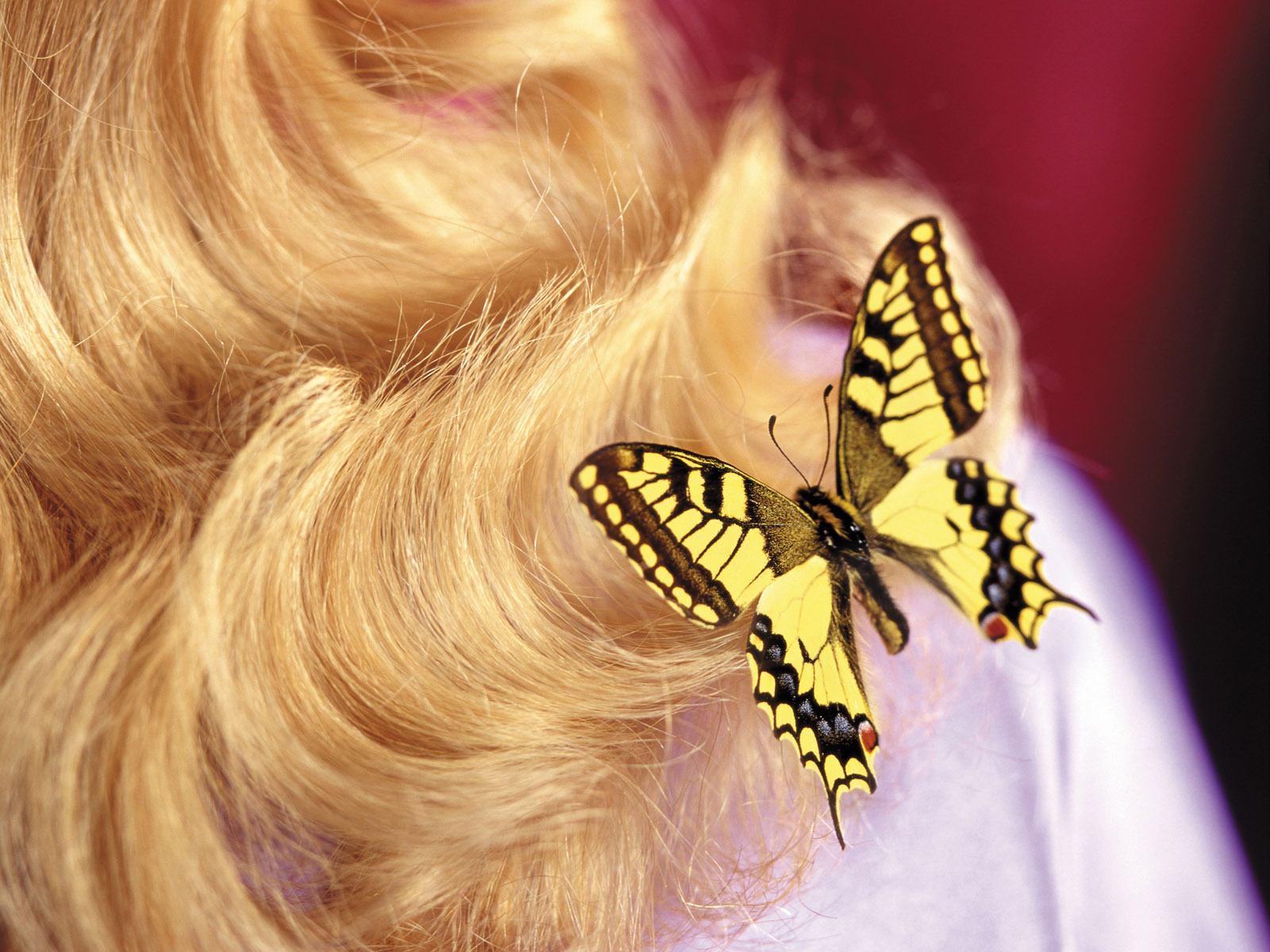 Ах, твой звонок меня смутил...