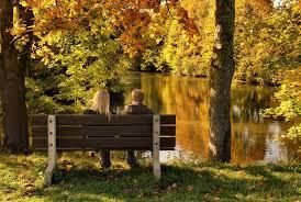 Лунный  свет  осени