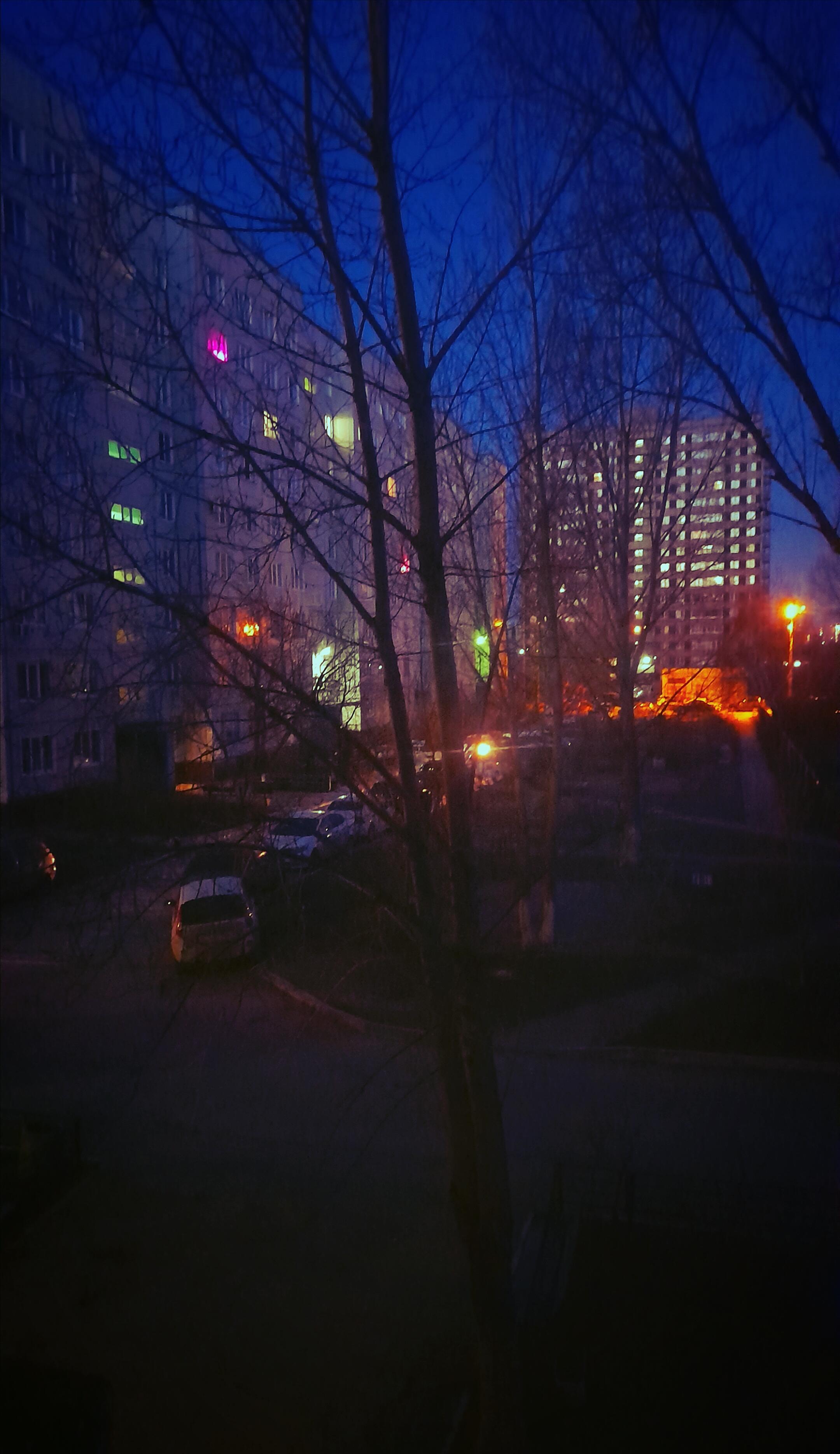 Человейники