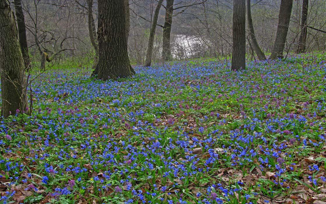 Возвращался тогда поздно...
