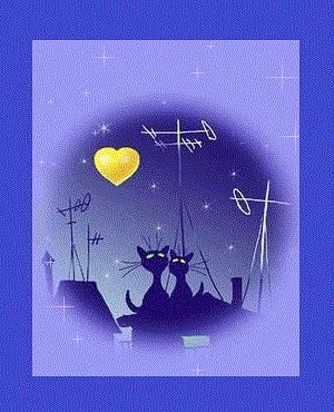 Мы встретились не случайно...