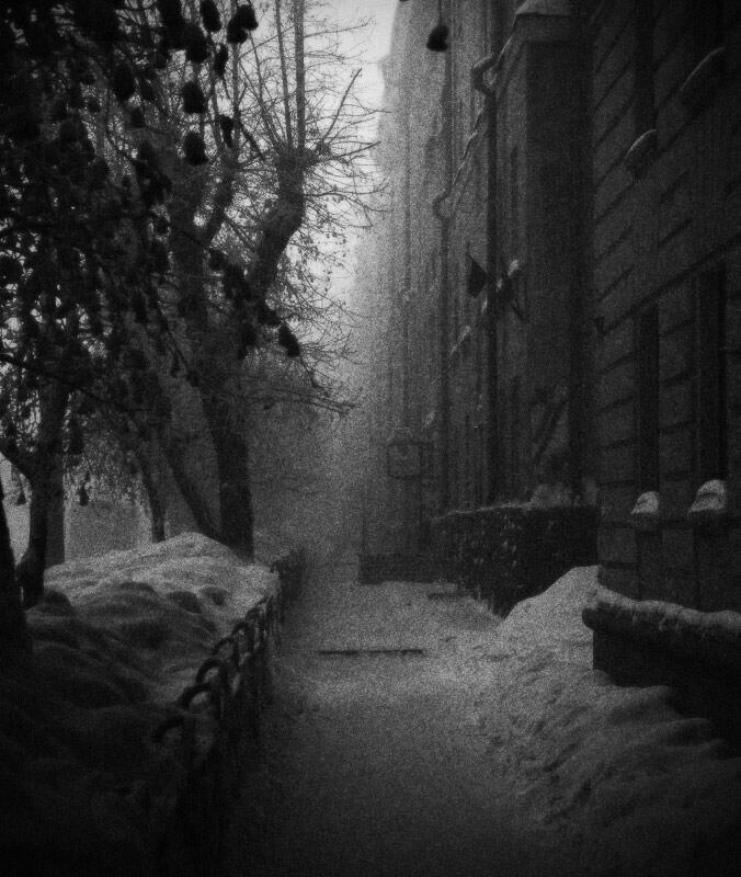 "Вижу в каждом сне..." (21.03.2026)